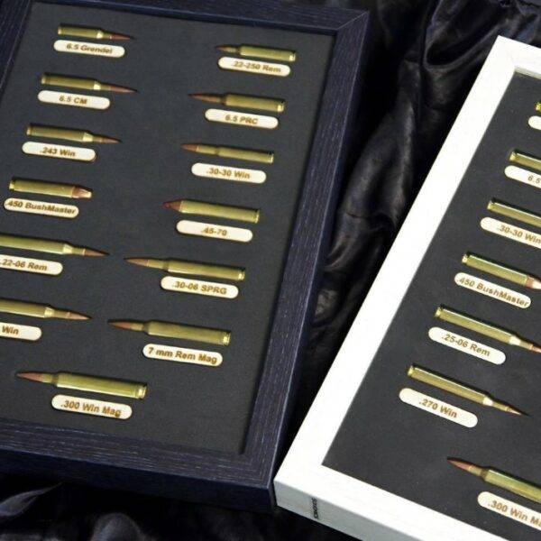 Doomsday Box - Ultimate Survival Ammo Kit